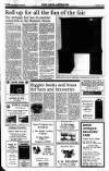 Sunday Tribune Sunday 02 August 1992 Page 38