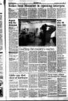 Sunday Tribune Sunday 13 September 1992 Page 17