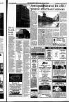 Sunday Tribune Sunday 20 September 1992 Page 53