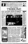 Sunday Tribune Sunday 15 November 1992 Page 3