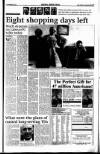 Sunday Tribune Sunday 06 December 1992 Page 17