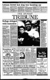 Sunday Tribune Sunday 17 January 1993 Page 3