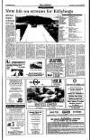 Sunday Tribune Sunday 24 January 1993 Page 33