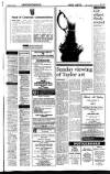 Sunday Tribune Sunday 07 March 1993 Page 45