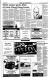 Sunday Tribune Sunday 14 March 1993 Page 45
