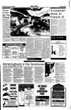 Sunday Tribune Sunday 21 March 1993 Page 46
