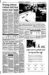 Sunday Tribune Sunday 04 April 1993 Page 39