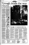 Sunday Tribune Sunday 06 June 1993 Page 29