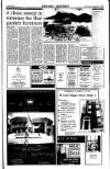 Sunday Tribune Sunday 06 June 1993 Page 45