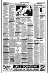 Sunday Tribune Sunday 20 June 1993 Page 33