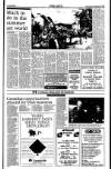 Sunday Tribune Sunday 20 June 1993 Page 49