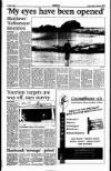 Sunday Tribune Sunday 11 July 1993 Page 7