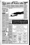 Sunday Tribune Sunday 25 July 1993 Page 13