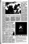 Sunday Tribune Sunday 25 July 1993 Page 39