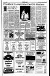 Sunday Tribune Sunday 25 July 1993 Page 51