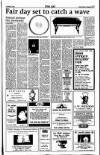 Sunday Tribune Sunday 01 August 1993 Page 39