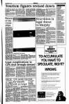 Sunday Tribune Sunday 15 August 1993 Page 35