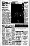 Sunday Tribune Sunday 15 August 1993 Page 37