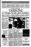 Sunday Tribune Sunday 31 October 1993 Page 3