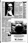 Sunday Tribune Sunday 31 October 1993 Page 41