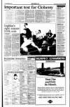 Sunday Tribune Sunday 26 December 1993 Page 19