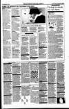 Sunday Tribune Sunday 30 January 1994 Page 53