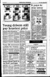 Sunday Tribune Sunday 17 July 1994 Page 45