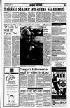 Sunday Tribune Sunday 08 January 1995 Page 3