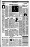 Sunday Tribune Sunday 08 January 1995 Page 15