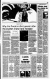 Sunday Tribune Sunday 19 March 1995 Page 13