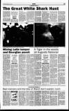 Sunday Tribune Sunday 02 April 1995 Page 19