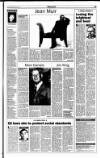 Sunday Tribune Sunday 04 June 1995 Page 15