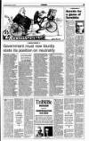 Sunday Tribune Sunday 11 June 1995 Page 15
