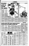 Sunday Tribune Sunday 03 September 1995 Page 29