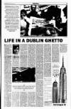 Sunday Tribune Sunday 29 October 1995 Page 5