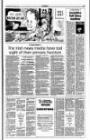 Sunday Tribune Sunday 29 October 1995 Page 17