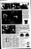 Sunday Tribune Sunday 07 January 1996 Page 11