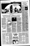 Sunday Tribune Sunday 07 January 1996 Page 17