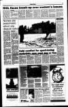 Sunday Tribune Sunday 28 January 1996 Page 2