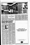 Sunday Tribune Sunday 04 February 1996 Page 5