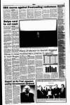 Sunday Tribune Sunday 04 February 1996 Page 19