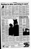 Sunday Tribune Sunday 03 March 1996 Page 35