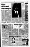Sunday Tribune Sunday 24 March 1996 Page 21