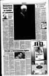 Sunday Tribune Sunday 16 June 1996 Page 17