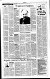 Sunday Tribune Sunday 01 September 1996 Page 17