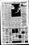 Sunday Tribune Sunday 15 September 1996 Page 31