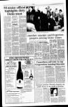 Sunday Tribune Sunday 08 December 1996 Page 4