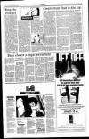 Sunday Tribune Sunday 08 December 1996 Page 31