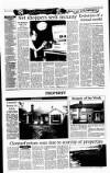 Sunday Tribune Sunday 22 December 1996 Page 36