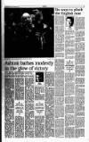 Sunday Tribune Sunday 09 February 1997 Page 33